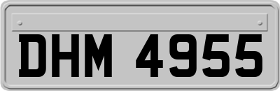 DHM4955