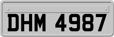 DHM4987