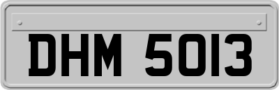DHM5013