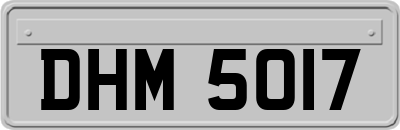 DHM5017