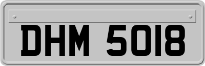 DHM5018