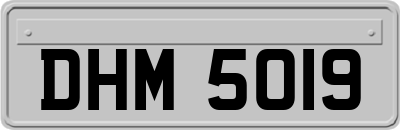 DHM5019