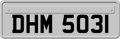 DHM5031