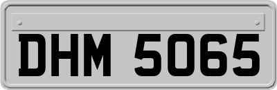 DHM5065