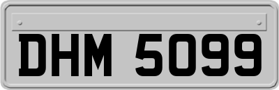 DHM5099