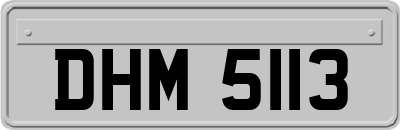 DHM5113