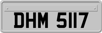 DHM5117