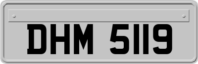DHM5119