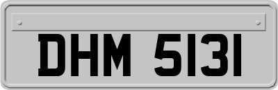 DHM5131