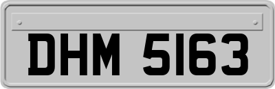 DHM5163