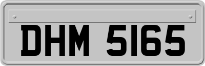 DHM5165