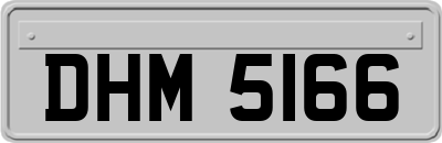 DHM5166