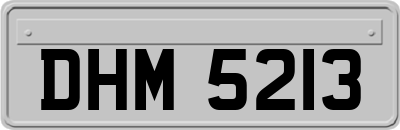 DHM5213