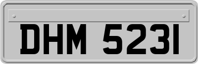 DHM5231