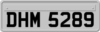 DHM5289