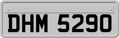 DHM5290
