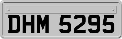 DHM5295