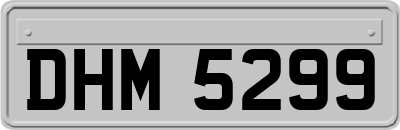 DHM5299