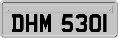 DHM5301
