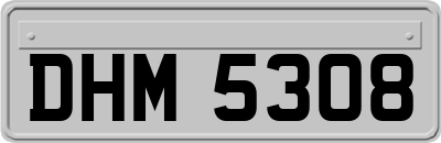 DHM5308