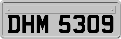 DHM5309