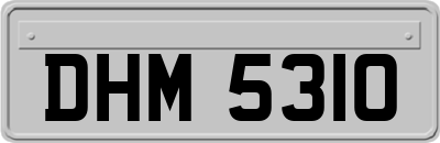 DHM5310