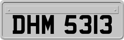 DHM5313