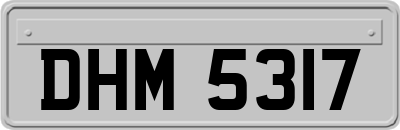 DHM5317
