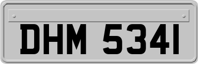 DHM5341
