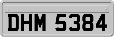 DHM5384