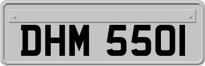 DHM5501
