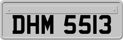 DHM5513