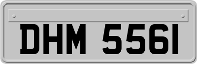 DHM5561