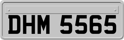 DHM5565
