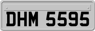 DHM5595