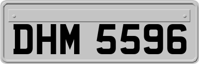 DHM5596