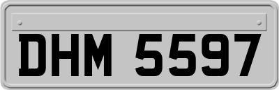 DHM5597
