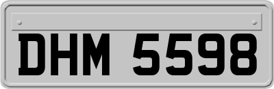 DHM5598