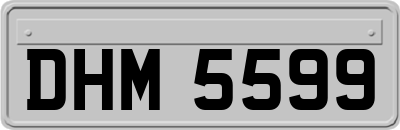 DHM5599