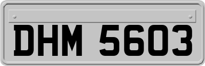 DHM5603