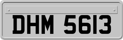 DHM5613