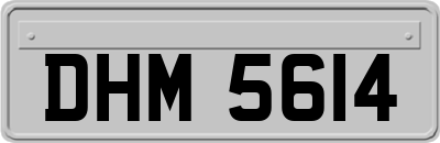 DHM5614