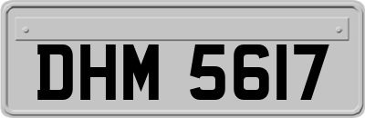 DHM5617