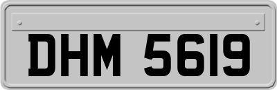 DHM5619
