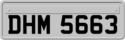 DHM5663