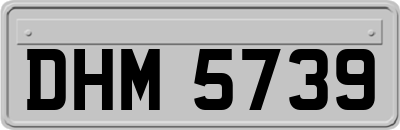 DHM5739