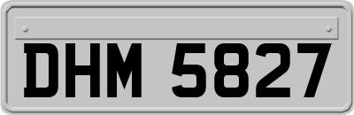 DHM5827