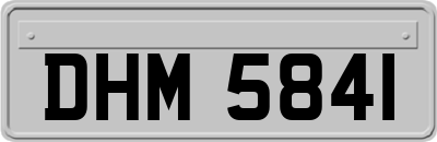 DHM5841