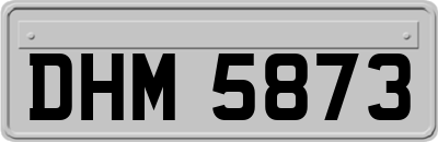 DHM5873