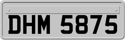 DHM5875